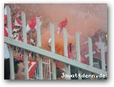 Hopping: CSKA Sofia - Levski Sofia  » Click to zoom ->