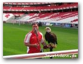 Estadio da Luz - Benfica Lissabon  » Click to zoom ->